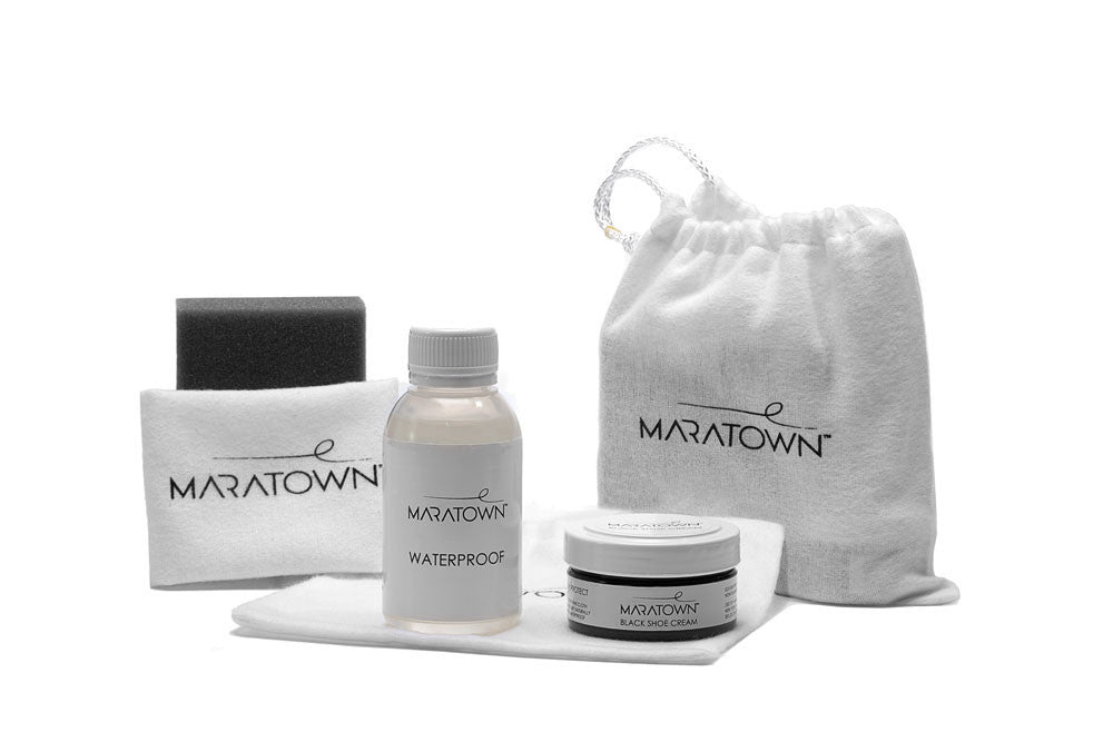 Shoe care kit
